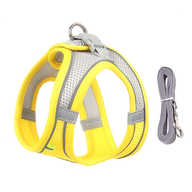 Harness Leash Set for Small Dogs Premier Distributers