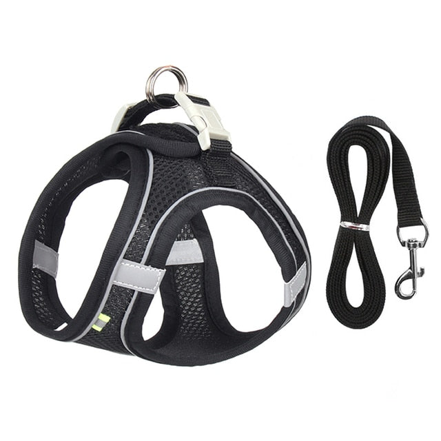 Harness Leash Set for Small Dogs Premier Distributers