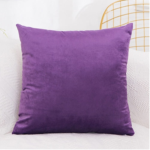 Cushion Cover Soft Velvet Cushion Covers Home Decor for Sofa Seat Chair Car Pillowcase Pink Beige Pillow Covers The Good Home Store