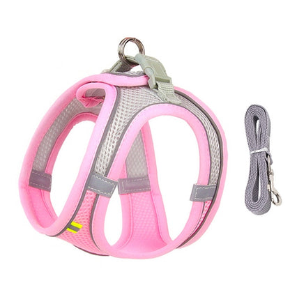 Harness Leash Set for Small Dogs Premier Distributers