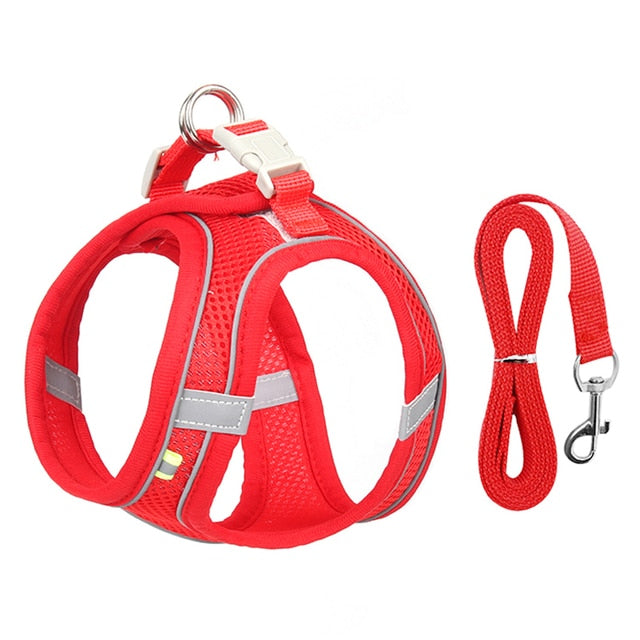 Harness Leash Set for Small Dogs Premier Distributers