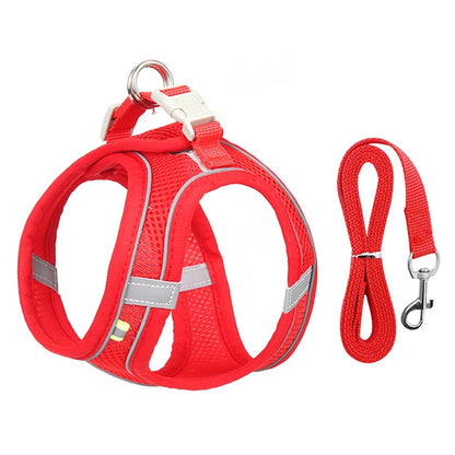 Harness Leash Set for Small Dogs Premier Distributers