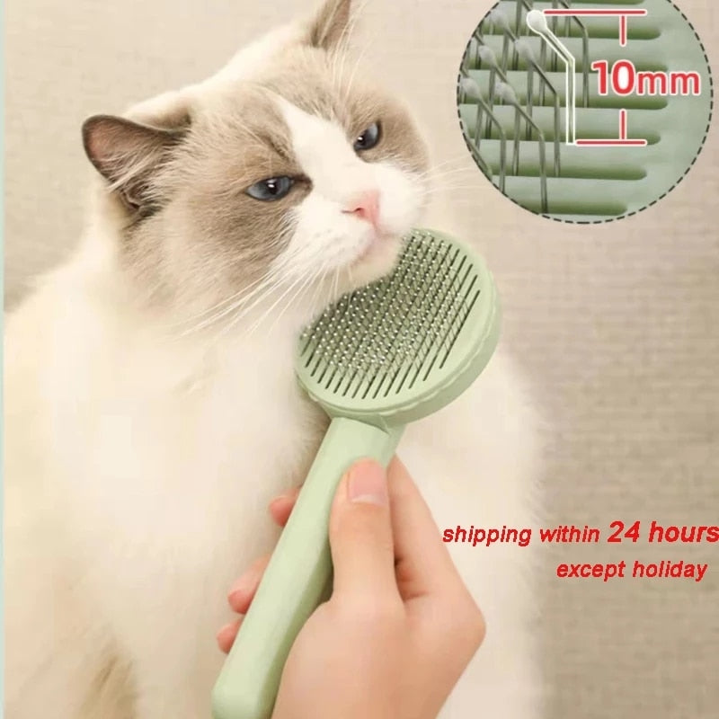 One-key Pet Hair Removal Brush Premier Distributers