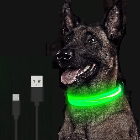 Adjustable LED Pet Collar Premier Distributers