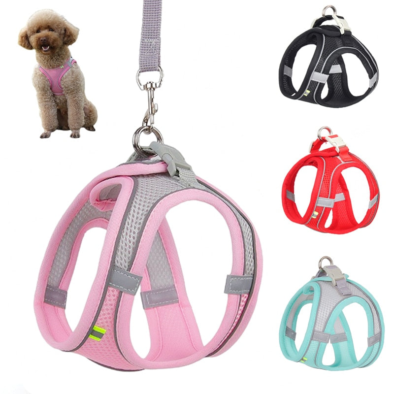 Harness Leash Set for Small Dogs Premier Distributers