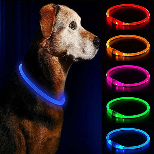 LED Waterproof Dog Collars Premier Distributers