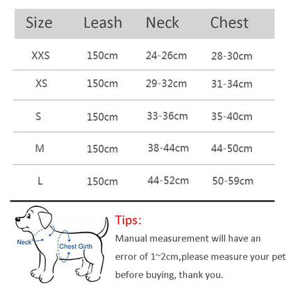 Harness Leash Set for Small Dogs Premier Distributers