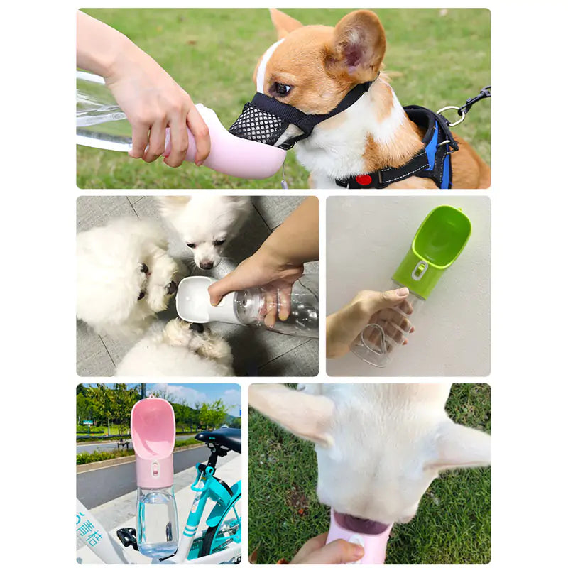 Pet Dog Water Bottle Feeder Premier Distributers